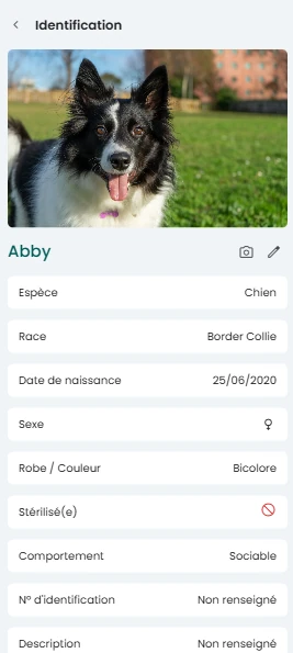 Application mobile Mizipet Pro - Agenda et planning de rendez-vous
