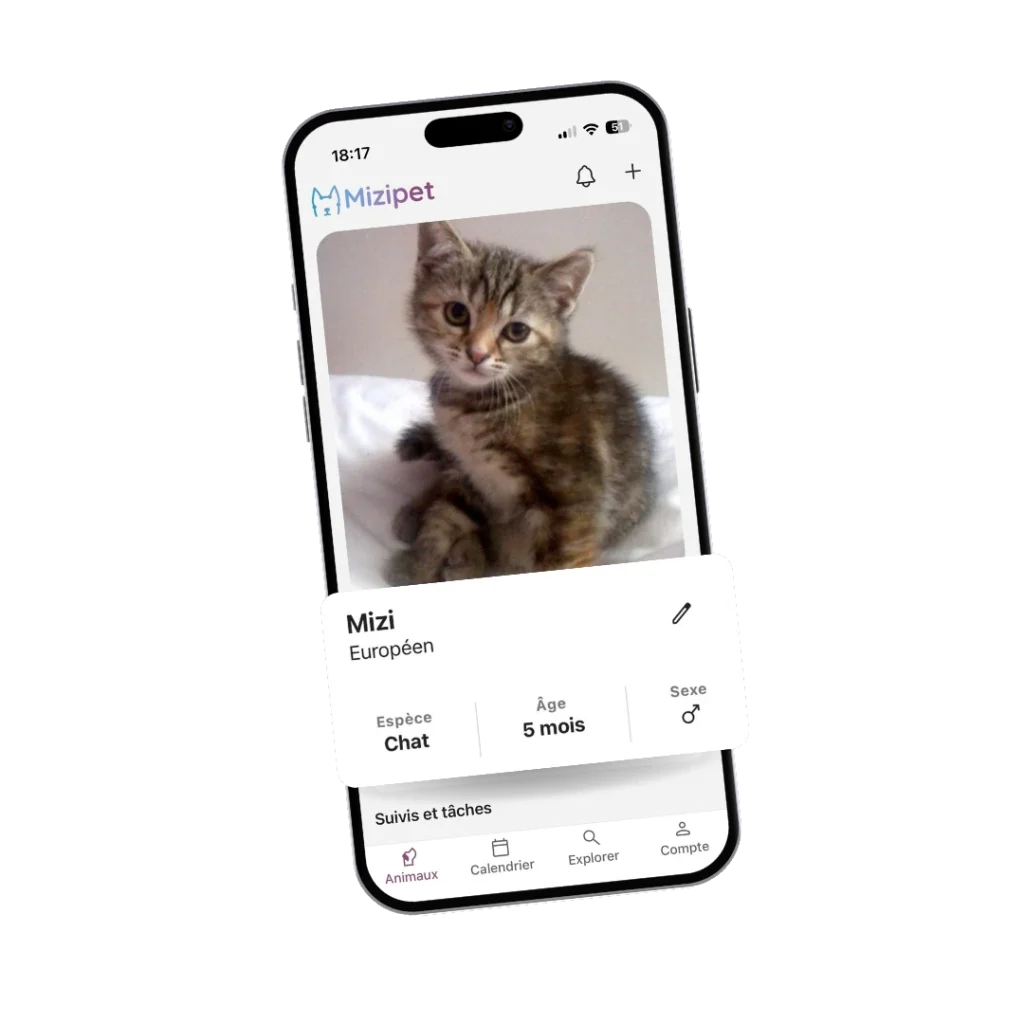 Mizipet Application Screenshot