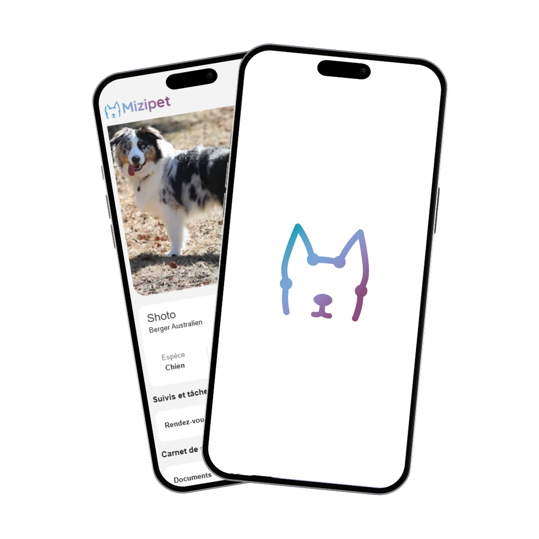 Application mobile Mizipet sur smartphone
